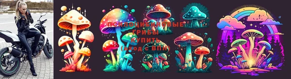spice Белоозёрский